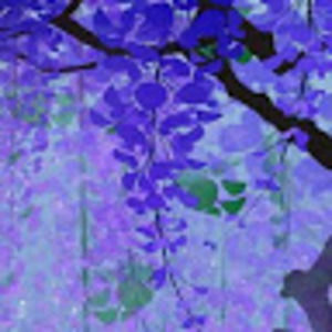 Meet your Posher, Selena